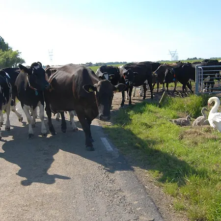 Farm Overleekerhoeve-2